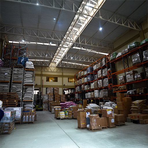 Casa de braços cruzados olhando para frente, representando solidez e direcionamento.